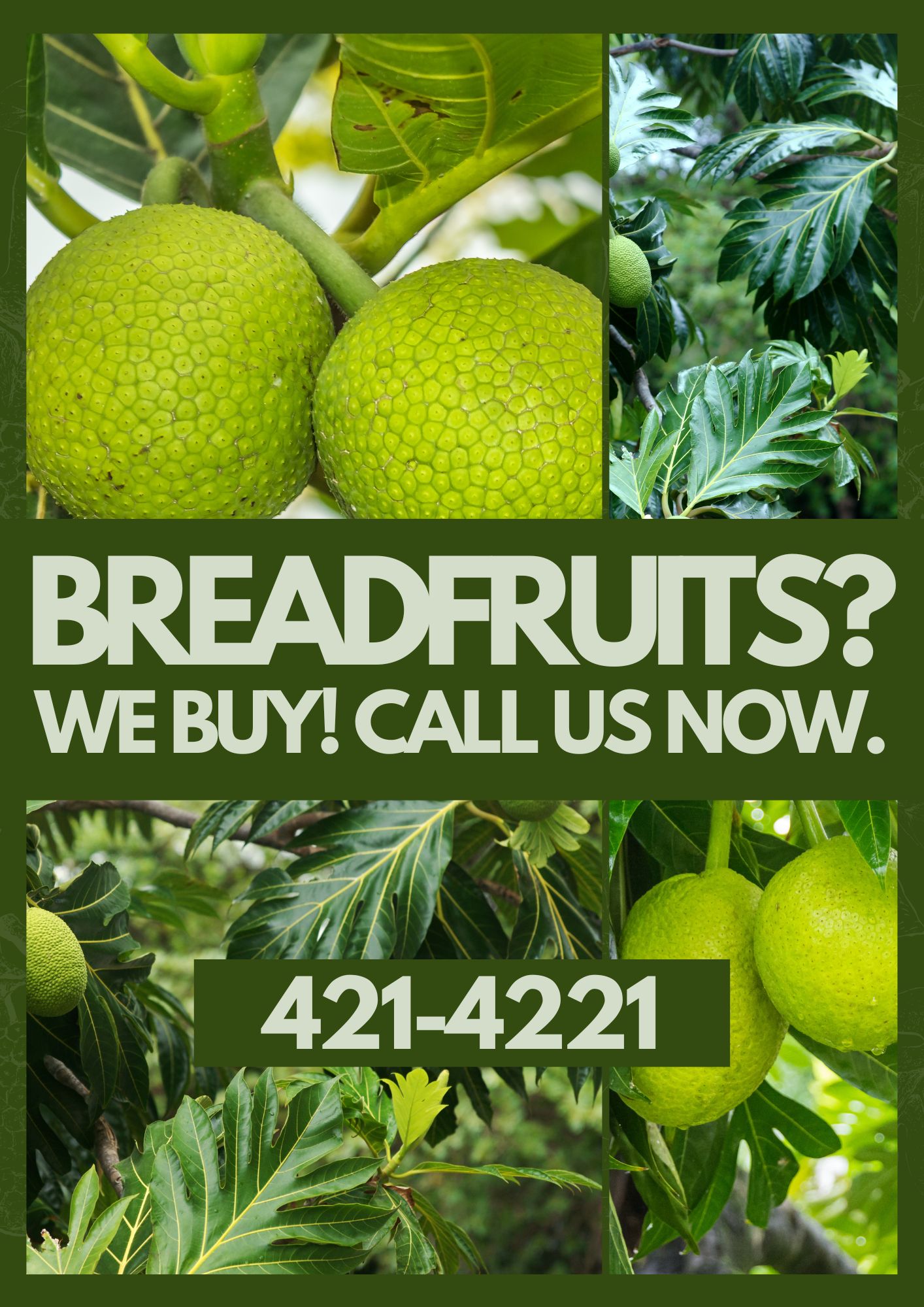 we BUY BREADFRUIT (1414 x 2000 px)